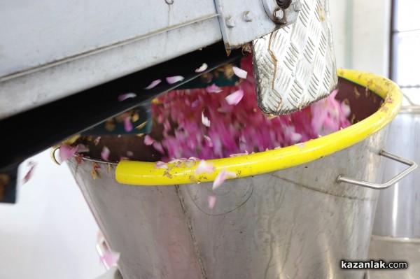 Новата дестилерия Terra Roza, на световния гигант dōTERRA, бе посетена от посланика на САЩ в България Херо Мустафа