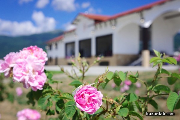 Новата дестилерия Terra Roza, на световния гигант dōTERRA, бе посетена от посланика на САЩ в България Херо Мустафа