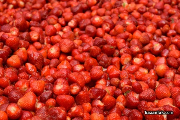 Розариумът се превърна в кулинарна арена за апетитни изкушения 