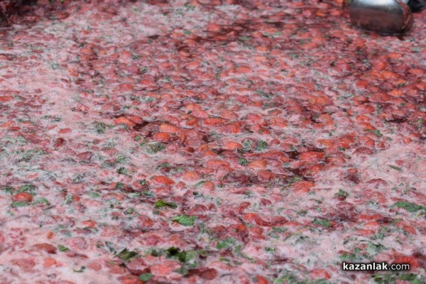 Розариумът се превърна в кулинарна арена за апетитни изкушения 