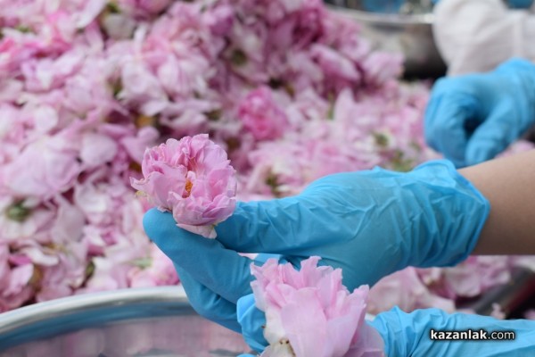 Розариумът се превърна в кулинарна арена за апетитни изкушения 