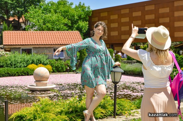 Над 8 000 гости посетиха Дни на розата в Дамасцена