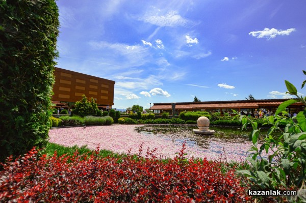 Над 8 000 гости посетиха Дни на розата в Дамасцена