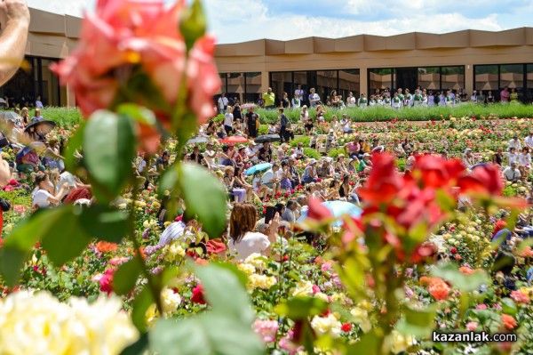 Над 8 000 гости посетиха Дни на розата в Дамасцена