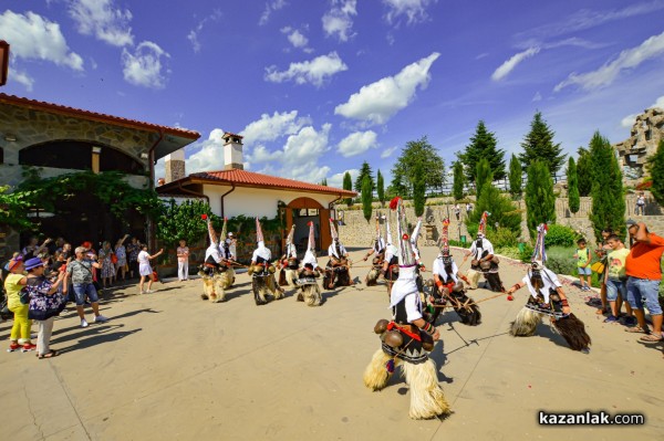 Над 8 000 гости посетиха Дни на розата в Дамасцена