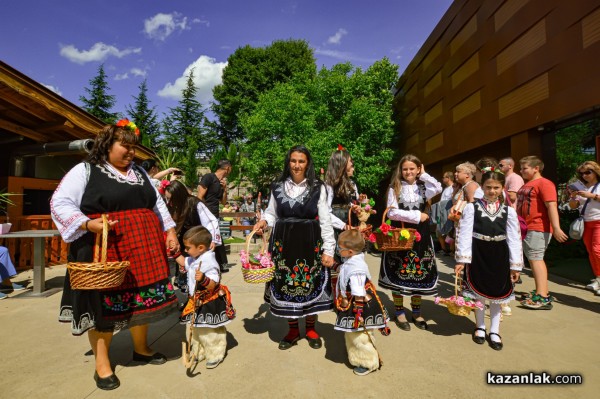 Над 8 000 гости посетиха Дни на розата в Дамасцена