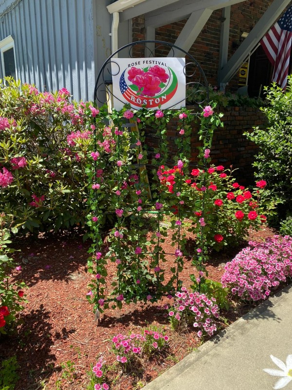 Казанлъчани организират Празник на розата и в Бостън, САЩ 