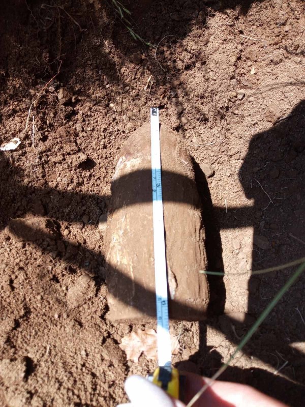 Военнослужещи обследваха района около „Паметника на Свободата”