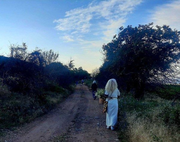 Денят на лековитите билки: Шипка празнува Еньовден