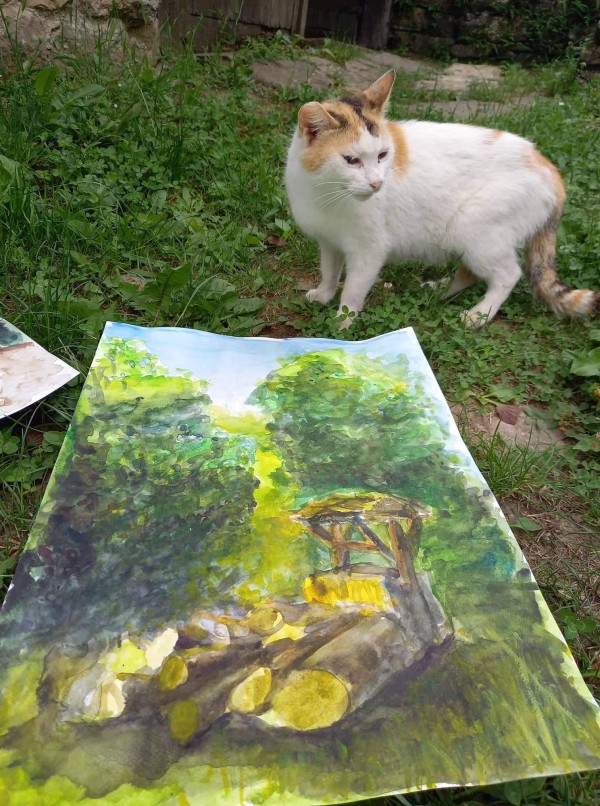 Художниците на “Арт линия“ се завърнаха от пленер в Боженци