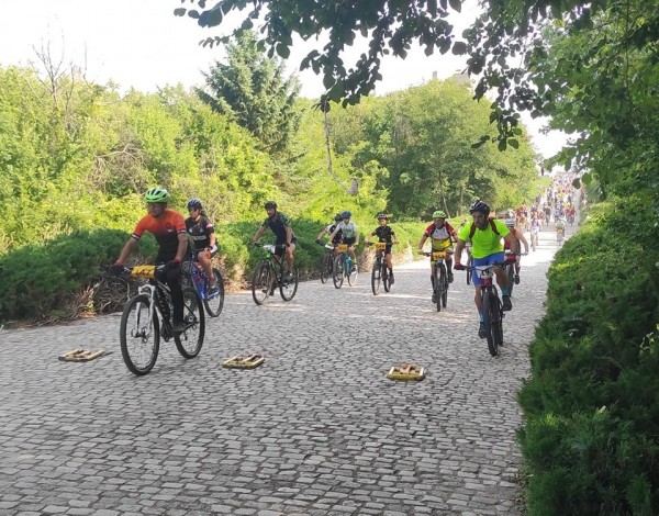 Лястовиците се върнаха с медали от две състезания