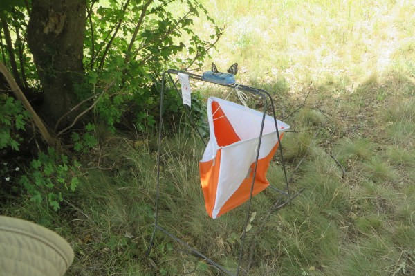 Над 170 състезатели участваха в надпреварата „Бодлите на розите 2022“