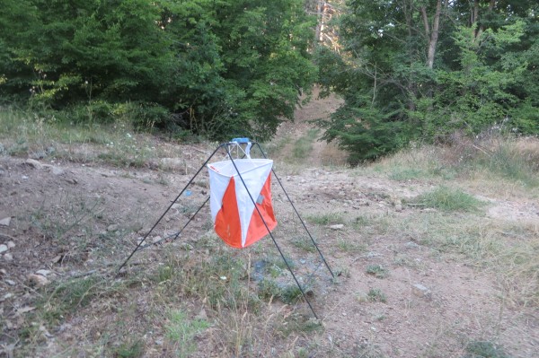 Над 170 състезатели участваха в надпреварата „Бодлите на розите 2022“