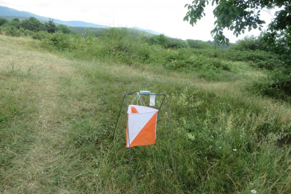 Над 170 състезатели участваха в надпреварата „Бодлите на розите 2022“