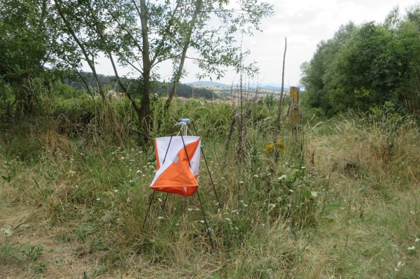 Над 170 състезатели участваха в надпреварата „Бодлите на розите 2022“