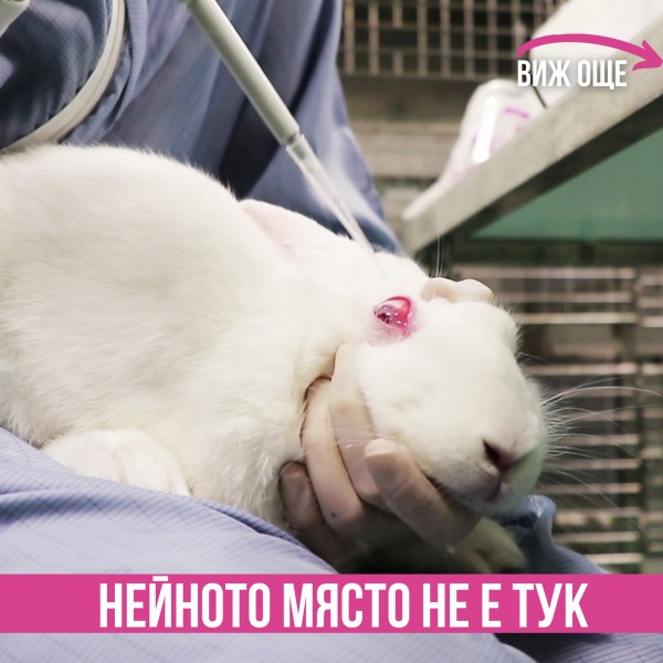 Казанлъчани се включват в инициатива за спиране на експериментите с животни