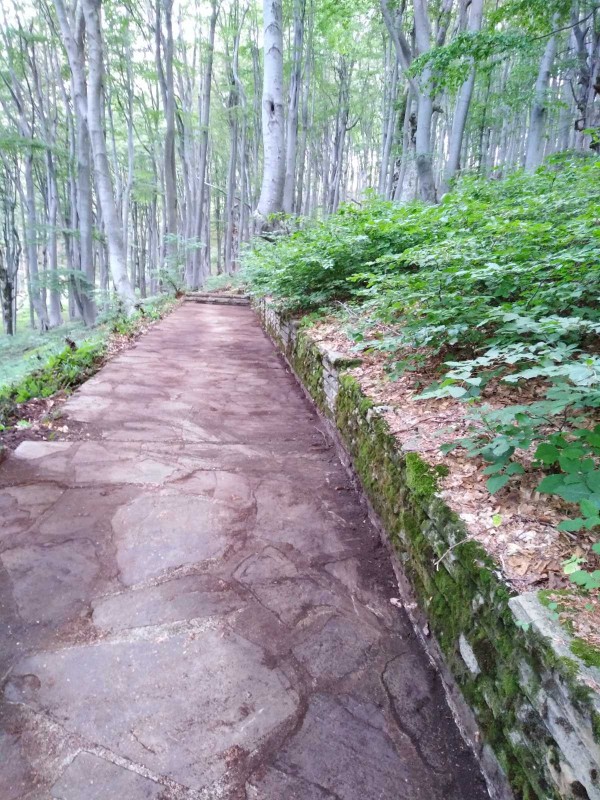 Екипът на хотел Еделвайс почисти забравената от десетки години пътека до паметника Бузлуджа