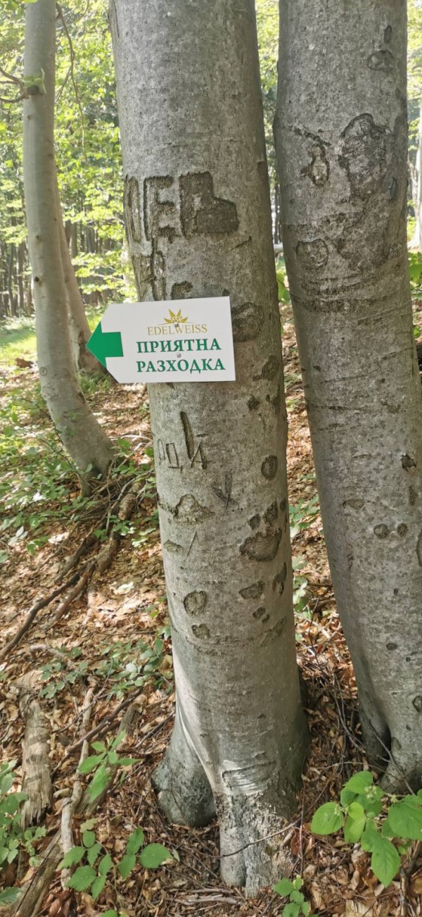 Екипът на хотел Еделвайс почисти забравената от десетки години пътека до паметника Бузлуджа