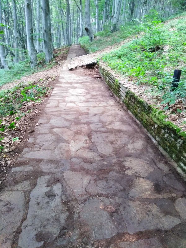 Екипът на хотел Еделвайс почисти забравената от десетки години пътека до паметника Бузлуджа