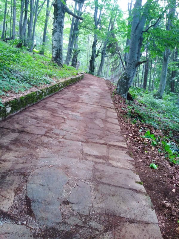 Екипът на хотел Еделвайс почисти забравената от десетки години пътека до паметника Бузлуджа