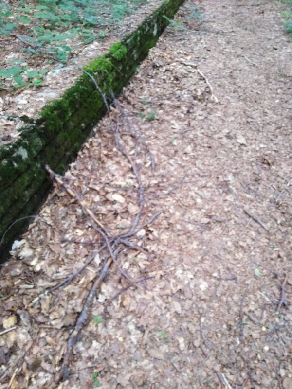 Екипът на хотел Еделвайс почисти забравената от десетки години пътека до паметника Бузлуджа