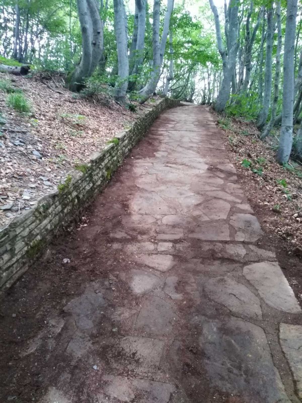 Екипът на хотел Еделвайс почисти забравената от десетки години пътека до паметника Бузлуджа