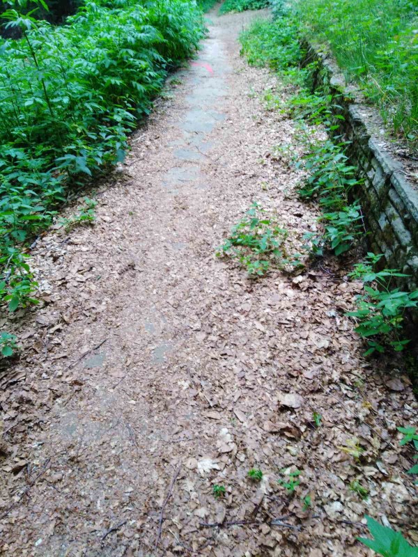 Екипът на хотел Еделвайс почисти забравената от десетки години пътека до паметника Бузлуджа