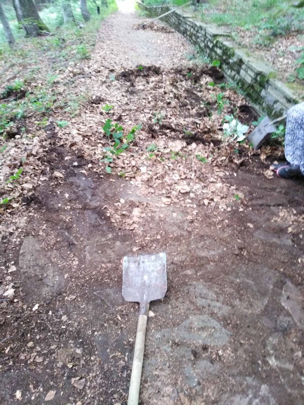 Екипът на хотел Еделвайс почисти забравената от десетки години пътека до паметника Бузлуджа