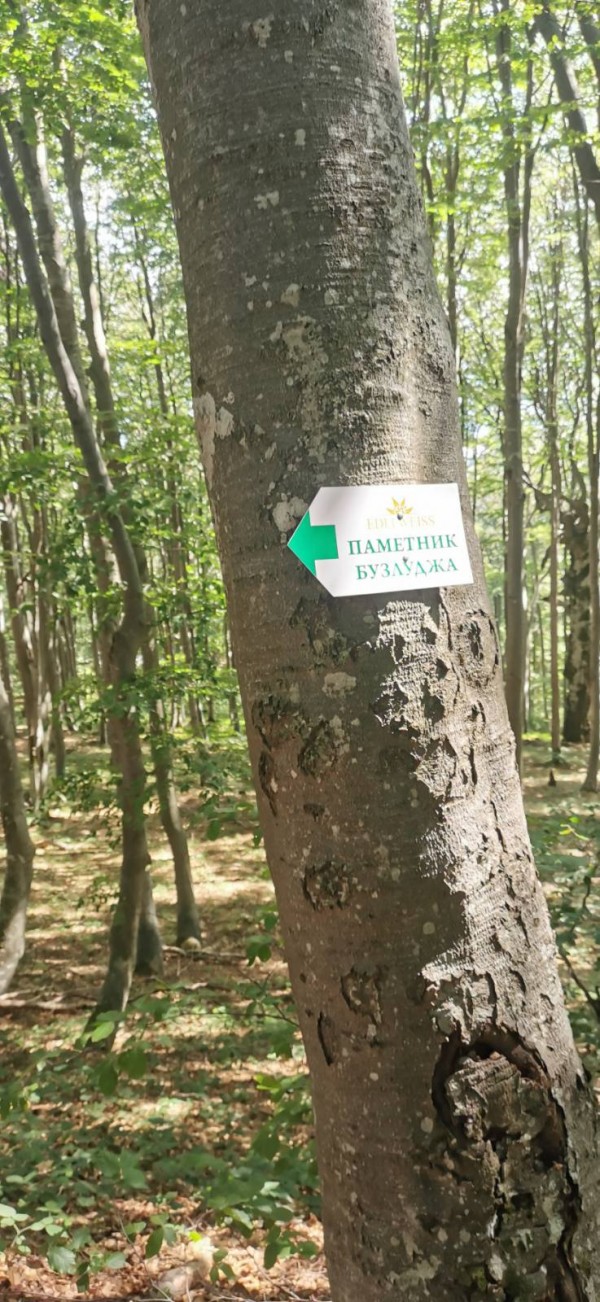 Екипът на хотел Еделвайс почисти забравената от десетки години пътека до паметника Бузлуджа