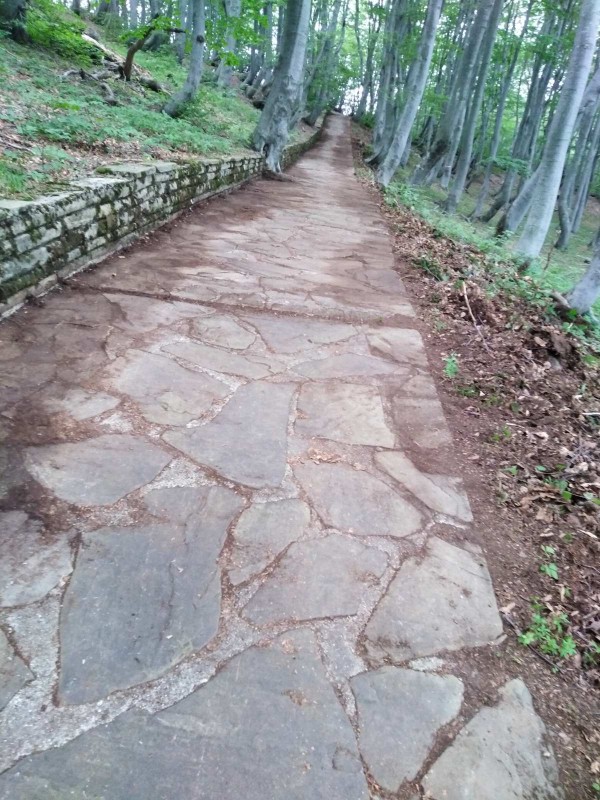 Екипът на хотел Еделвайс почисти забравената от десетки години пътека до паметника Бузлуджа