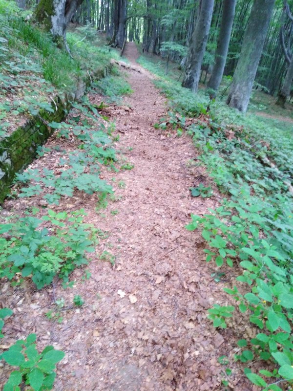 Екипът на хотел Еделвайс почисти забравената от десетки години пътека до паметника Бузлуджа