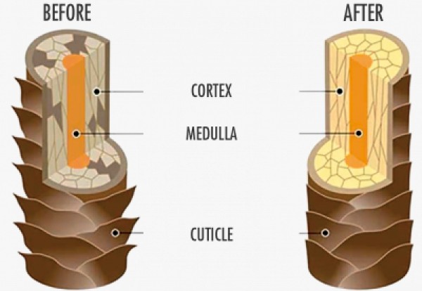 Огледален блясък и по-здрава коса? Мисия възможна с ламиниращата терапия на „Аглая”