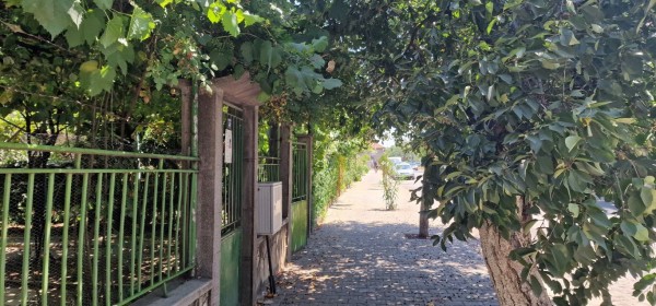 Нови тротоари, асфалтирани улици и междублокови пространства в Kазанлък