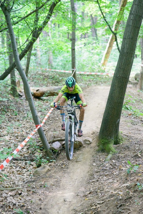 Лястовиците с отлично представяне на държавното в София