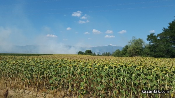 Пожар между Казанлък и Бузовград 