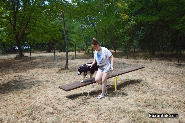 Откриха нов кучешки парк до Колодрума. Скоро и в Източното