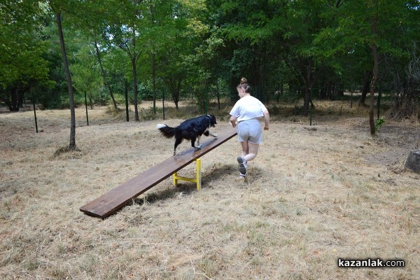 Откриха нов кучешки парк до Колодрума. Скоро и в Източното