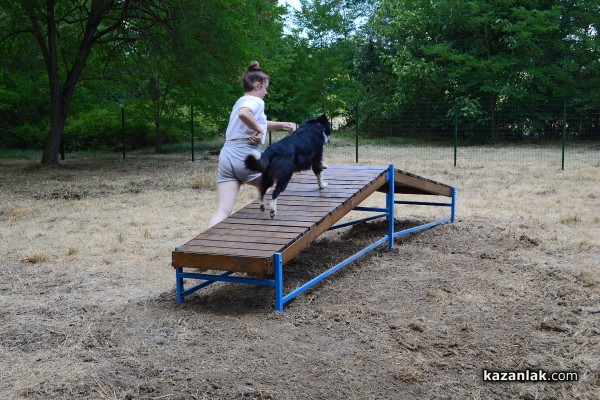 Откриха нов кучешки парк до Колодрума. Скоро и в Източното