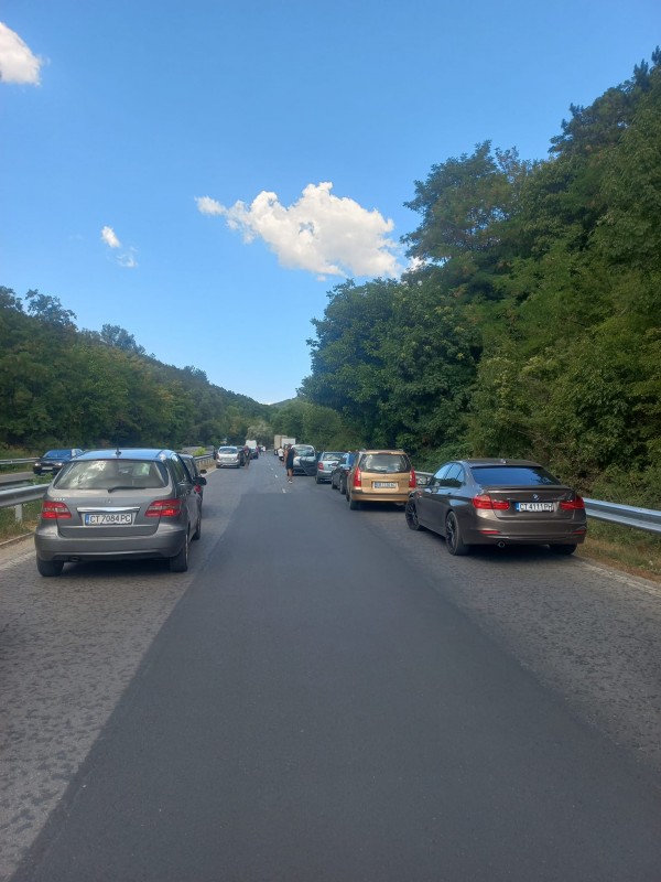 Паднало дърво блокира пътя Казанлък - Стара Загора / Обновена