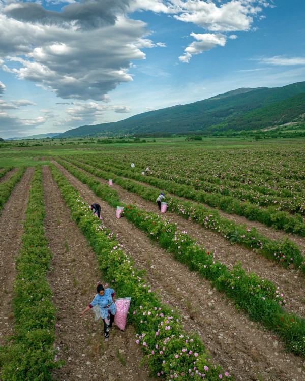 Кадри на Енчо Славов влизат в предаването на National Geographic „Европа от високо”