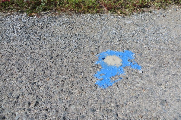 Направиха „първа копка” за изграждането на войнишкия паметник в Ясеново