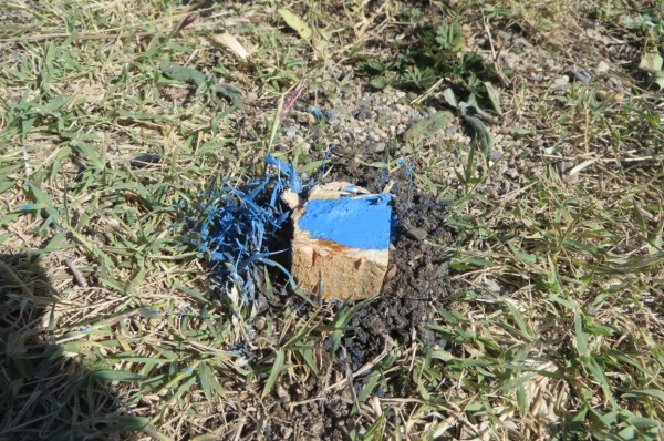 Направиха „първа копка” за изграждането на войнишкия паметник в Ясеново