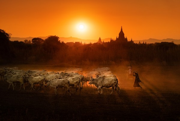 Пловдивчанинът Минко Михайлов показва магията на Азия в Казанлък 