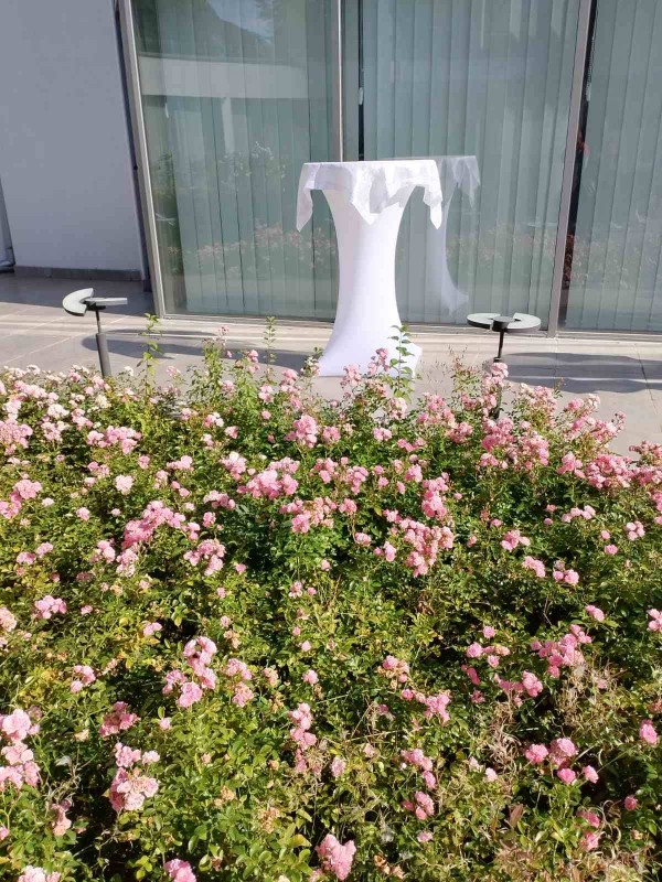 Екскурзоводите на ПГЛПТ отбелязаха Световния ден на туризма