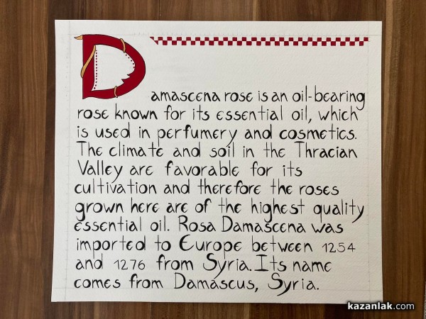 Царица Роза 2017- Цветелина Илиева подготвя нов проект