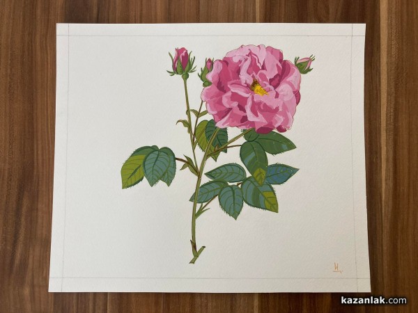 Царица Роза 2017- Цветелина Илиева подготвя нов проект