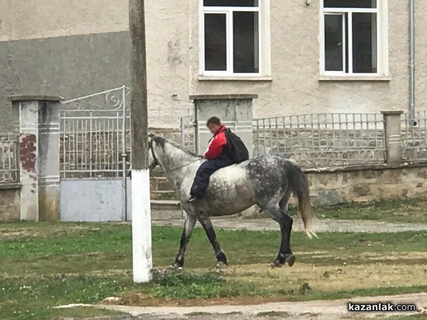 На училище с кон