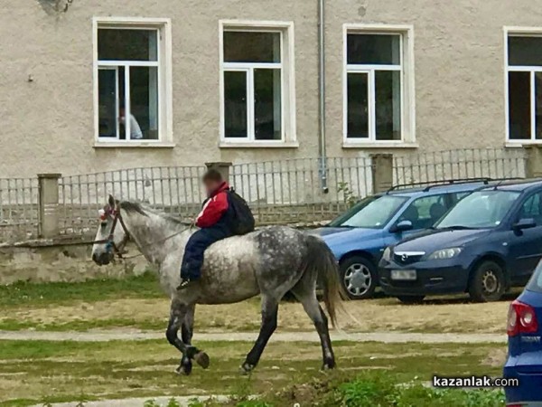 На училище с кон