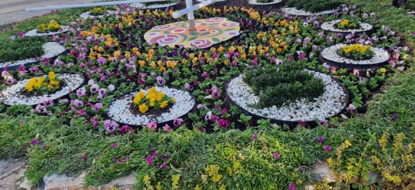 Казанлък хубавее с ново есенно зацветяване