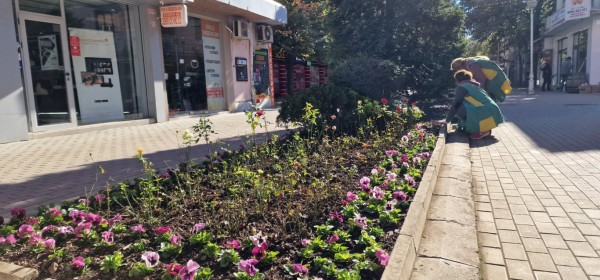 Казанлък хубавее с ново есенно зацветяване